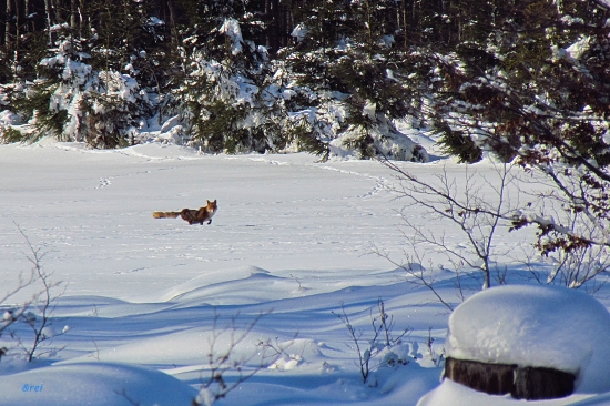 Prekvapená pri návnade...