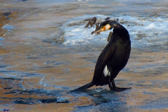 ...ešte tam niečo ostalo ?