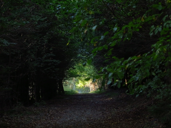 Svetlo na konci tunela...