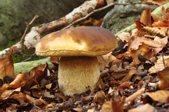 Ranné potešenie...