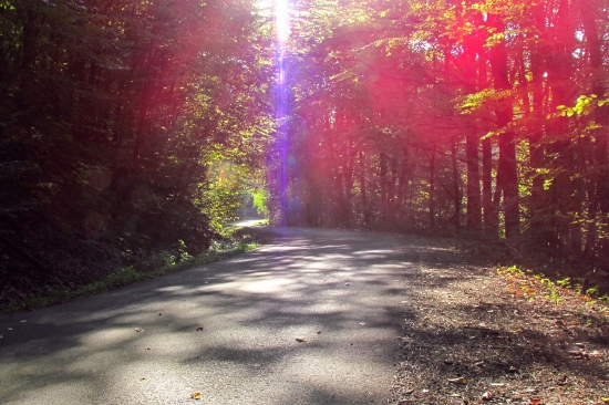 Keď jeseň maľuje...