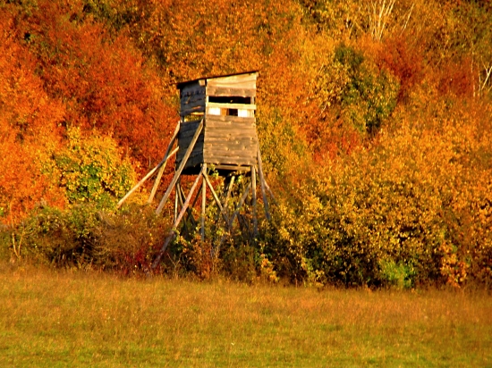 Keď pozadie je krajšie...