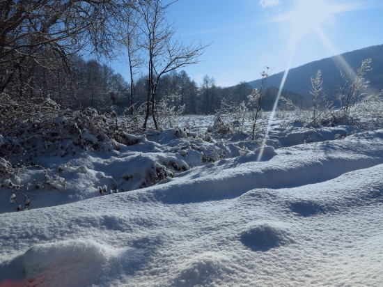 Jedno zimné ráno...