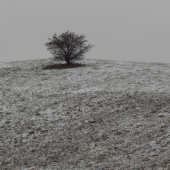 Solitér