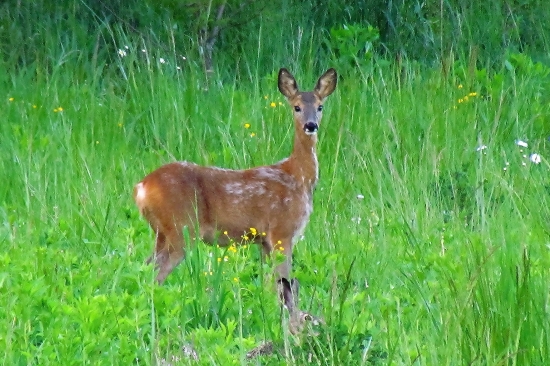 Dvaja z jedného miesta...