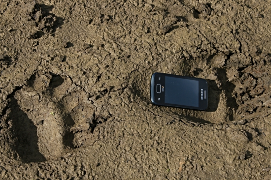 V medvedích šľapajách