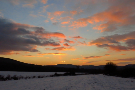 Januárové červánky