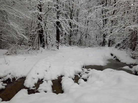 Tri skupenstvá vody