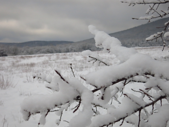 Pod čerstvou nádielkou