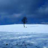 Solitér 1