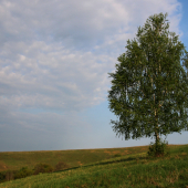 Májová