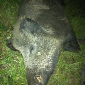 zatial môj najväčší, zbrane 20,5cm