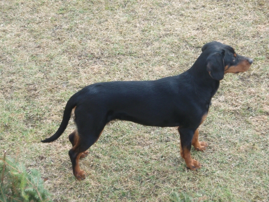 Kessy Brunov dvor   o: Ebon brunov dvor    m: Jita nižna voľa