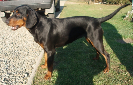 Kessy brunov dvor ako 1 a pol ročná