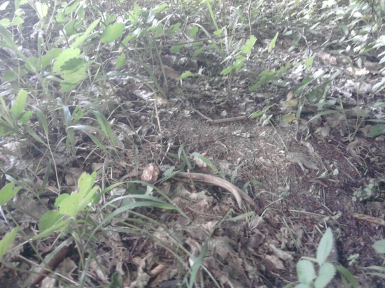 Prvý pohľad môjho prvého v živote