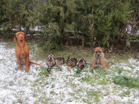 koniec dobrý-všetko dobré