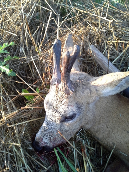 keď sa šťastie unaví....