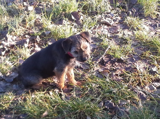 jessie špekuluje:-)