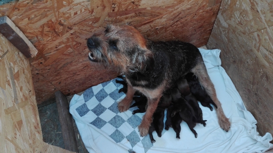 Je nás požehnane :)