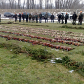 Polovka Dolny Chotar