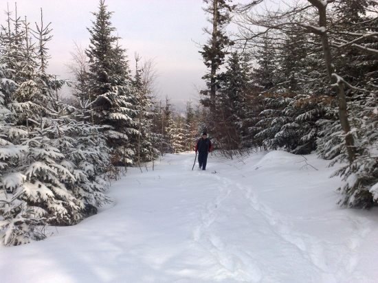 mam  dost na tento rok