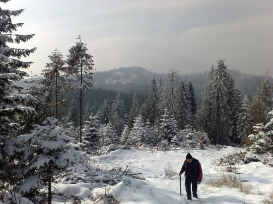 mam dost na tento rok 2