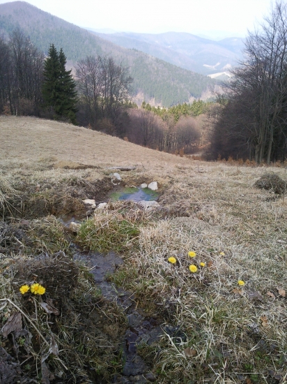 paráda