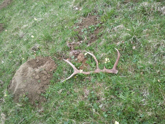 kedˇ pršalo,aj kvaplo