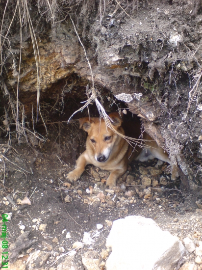 veget v macovom brlohu