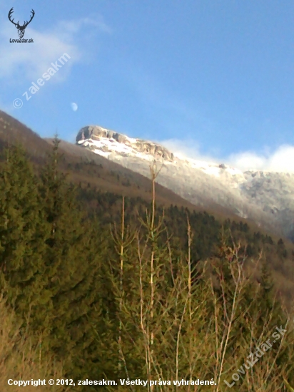 Kľak