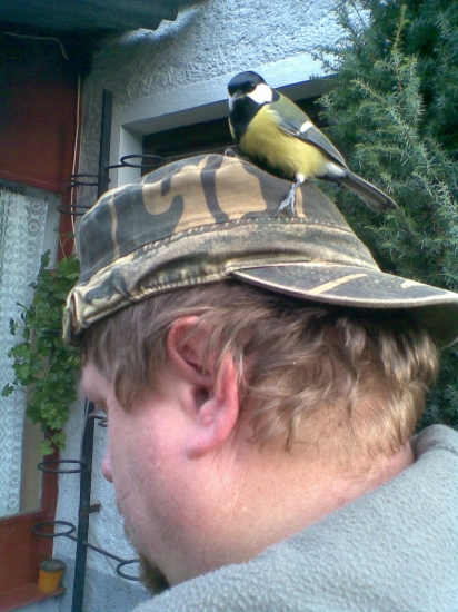 krehké priateľstvo