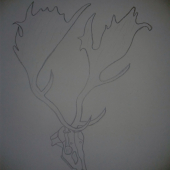 trošku som sa snažil kresliť :)