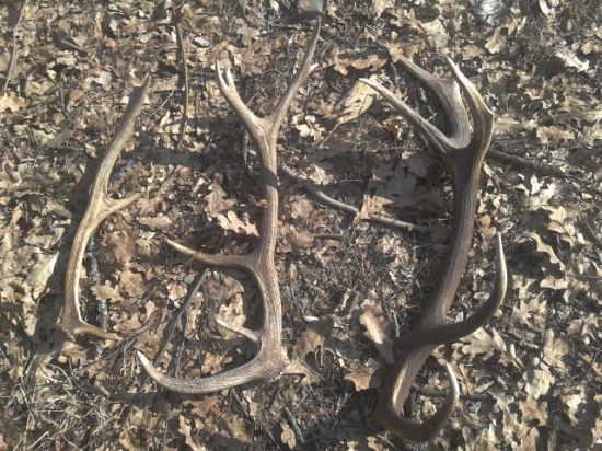 krásny deň za nami :)