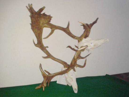 CHP Okres Veľký Krtíš