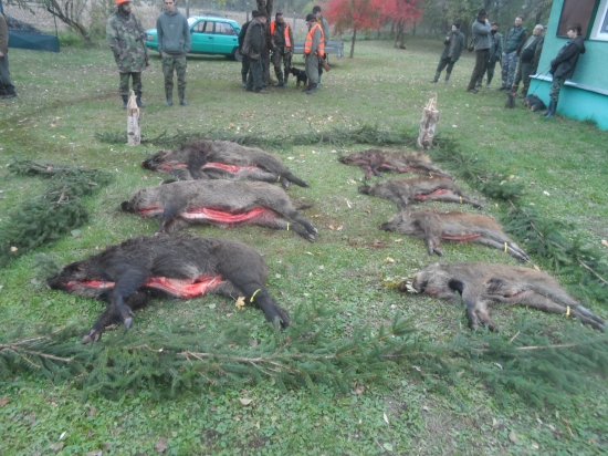 Hosťovská poľovačka v PZ Obeckov