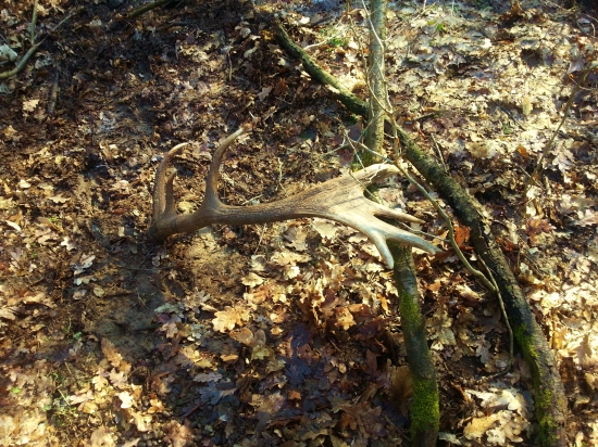 kamarátov 14 torák