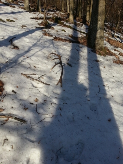 konečne sa aj mne pošťastilo prvý 2013