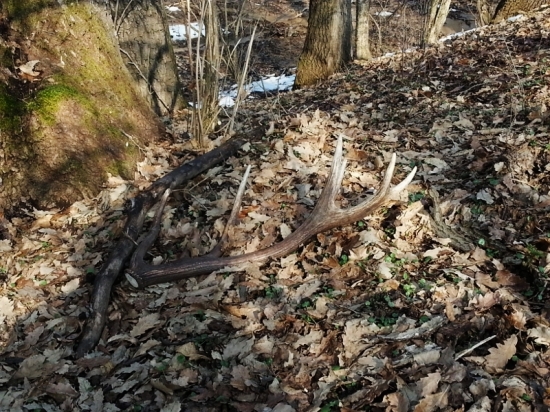 veľkonočný 14 torák :)