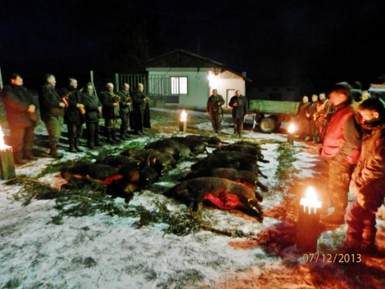 Poplatková poľovačka