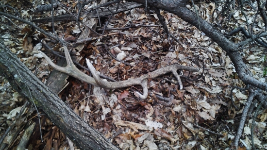 starý ale potešil :)