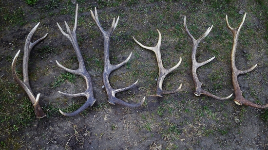 krásny deň za mnou :)