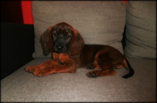 Poobedňajší oddych :)