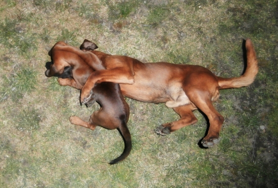 Keď malá veľkého ničí :D