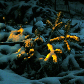 trošku slnka prosím