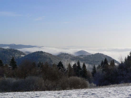 z Bukovej