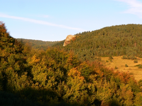 Sokoľ