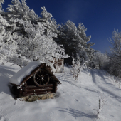 no neje zima krásna