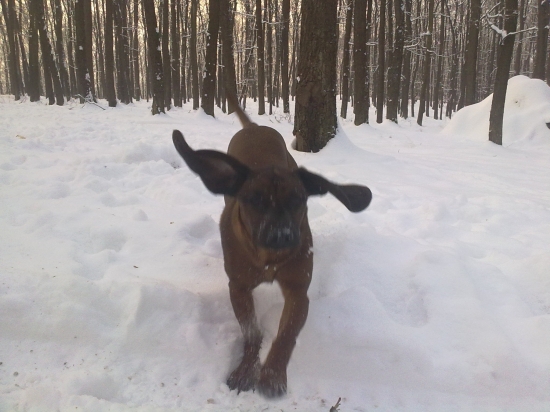 Oko keby chcel odletiet