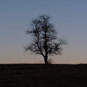 Sám vojak v poli...