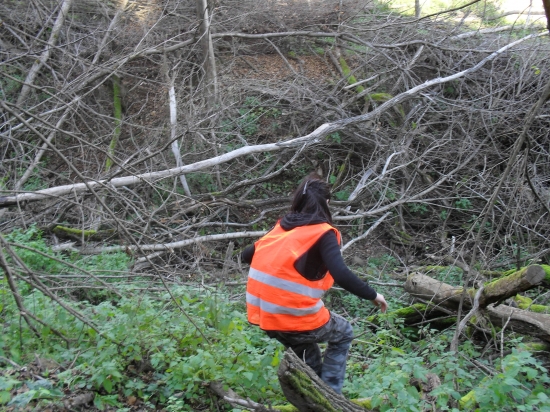 Za zverou cestou aj necestou...